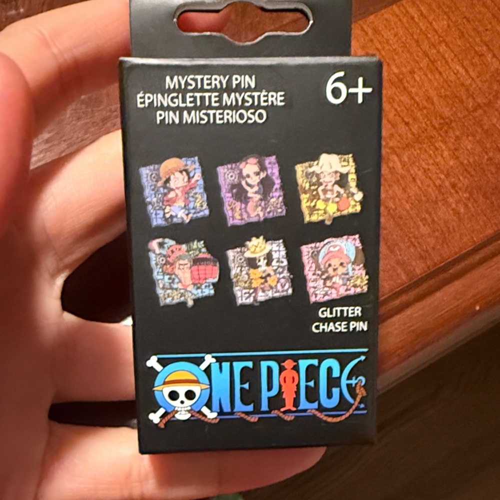 One Piece Mystery Pin Box